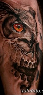 фото тату сова с черепом от 23.10.2017 №011 — tattoo owl with a skull — tatufoto.com