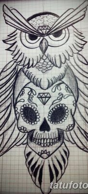 фото тату сова с черепом от 23.10.2017 №015 — tattoo owl with a skull — tatufoto.com