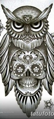 фото тату сова с черепом от 23.10.2017 №017 — tattoo owl with a skull — tatufoto.com