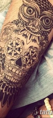 фото тату сова с черепом от 23.10.2017 №018 — tattoo owl with a skull — tatufoto.com