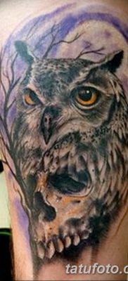 фото тату сова с черепом от 23.10.2017 №020 — tattoo owl with a skull — tatufoto.com