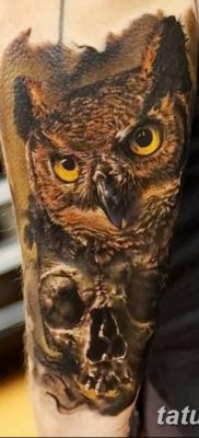 фото тату сова с черепом от 23.10.2017 №023 — tattoo owl with a skull — tatufoto.com