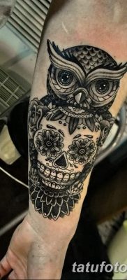 фото тату сова с черепом от 23.10.2017 №028 — tattoo owl with a skull — tatufoto.com