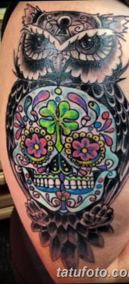фото тату сова с черепом от 23.10.2017 №029 — tattoo owl with a skull — tatufoto.com
