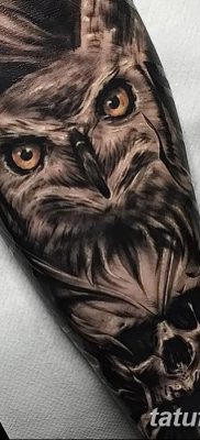 фото тату сова с черепом от 23.10.2017 №031 — tattoo owl with a skull — tatufoto.com