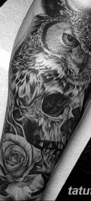 фото тату сова с черепом от 23.10.2017 №034 — tattoo owl with a skull — tatufoto.com