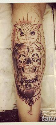 фото тату сова с черепом от 23.10.2017 №035 — tattoo owl with a skull — tatufoto.com