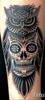 фото тату сова с черепом от 23.10.2017 №036 — tattoo owl with a skull — tatufoto.com