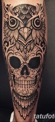 фото тату сова с черепом от 23.10.2017 №040 — tattoo owl with a skull — tatufoto.com