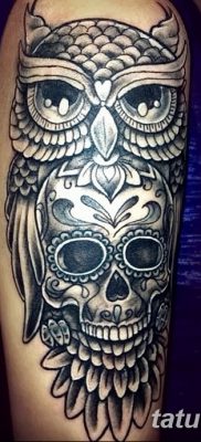фото тату сова с черепом от 23.10.2017 №042 — tattoo owl with a skull — tatufoto.com