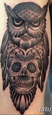 фото тату сова с черепом от 23.10.2017 №043 — tattoo owl with a skull — tatufoto.com