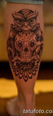 фото тату сова с черепом от 23.10.2017 №044 — tattoo owl with a skull — tatufoto.com