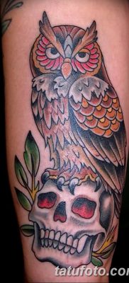 фото тату сова с черепом от 23.10.2017 №047 — tattoo owl with a skull — tatufoto.com