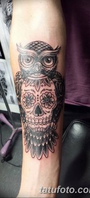 фото тату сова с черепом от 23.10.2017 №049 — tattoo owl with a skull — tatufoto.com