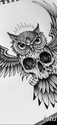 фото тату сова с черепом от 23.10.2017 №050 — tattoo owl with a skull — tatufoto.com