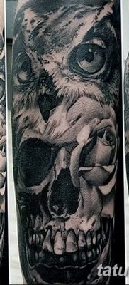фото тату сова с черепом от 23.10.2017 №051 — tattoo owl with a skull — tatufoto.com