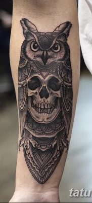 фото тату сова с черепом от 23.10.2017 №052 — tattoo owl with a skull — tatufoto.com