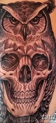 фото тату сова с черепом от 23.10.2017 №056 — tattoo owl with a skull — tatufoto.com