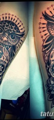 фото тату сова с черепом от 23.10.2017 №057 — tattoo owl with a skull — tatufoto.com