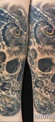 фото тату сова с черепом от 23.10.2017 №058 — tattoo owl with a skull — tatufoto.com