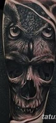 фото тату сова с черепом от 23.10.2017 №060 — tattoo owl with a skull — tatufoto.com