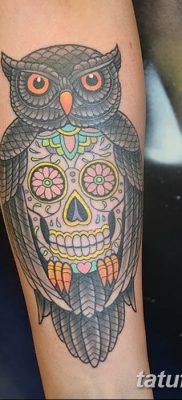 фото тату сова с черепом от 23.10.2017 №061 — tattoo owl with a skull — tatufoto.com