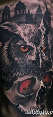 фото тату сова с черепом от 23.10.2017 №064 — tattoo owl with a skull — tatufoto.com