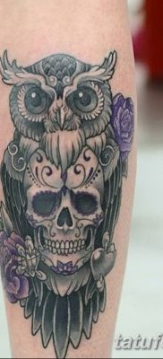 фото тату сова с черепом от 23.10.2017 №065 — tattoo owl with a skull — tatufoto.com