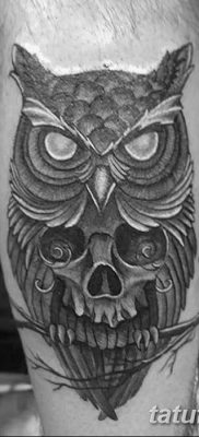 фото тату сова с черепом от 23.10.2017 №066 — tattoo owl with a skull — tatufoto.com