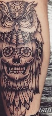 фото тату сова с черепом от 23.10.2017 №067 — tattoo owl with a skull — tatufoto.com