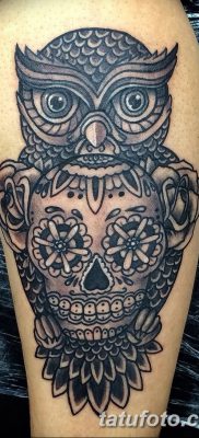 фото тату сова с черепом от 23.10.2017 №069 — tattoo owl with a skull — tatufoto.com