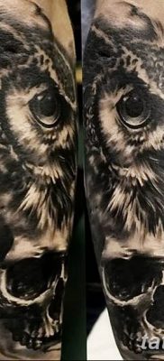 фото тату сова с черепом от 23.10.2017 №071 — tattoo owl with a skull — tatufoto.com
