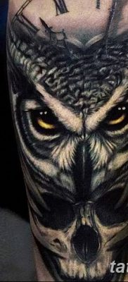 фото тату сова с черепом от 23.10.2017 №072 — tattoo owl with a skull — tatufoto.com