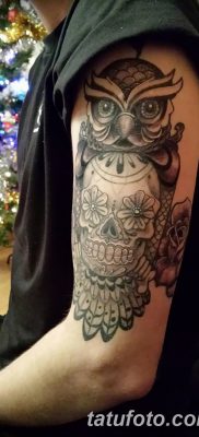 фото тату сова с черепом от 23.10.2017 №073 — tattoo owl with a skull — tatufoto.com
