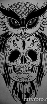 фото тату сова с черепом от 23.10.2017 №074 — tattoo owl with a skull — tatufoto.com