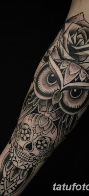 фото тату сова с черепом от 23.10.2017 №078 — tattoo owl with a skull — tatufoto.com
