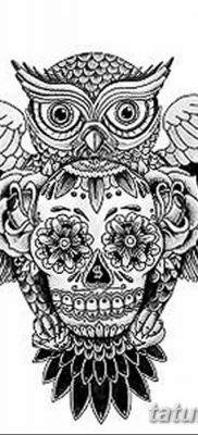 фото тату сова с черепом от 23.10.2017 №079 — tattoo owl with a skull — tatufoto.com