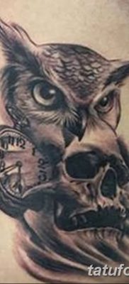 фото тату сова с черепом от 23.10.2017 №081 — tattoo owl with a skull — tatufoto.com