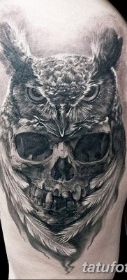 фото тату сова с черепом от 23.10.2017 №082 — tattoo owl with a skull — tatufoto.com