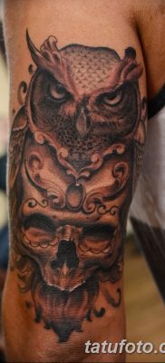 фото тату сова с черепом от 23.10.2017 №083 — tattoo owl with a skull — tatufoto.com