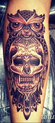фото тату сова с черепом от 23.10.2017 №084 — tattoo owl with a skull — tatufoto.com