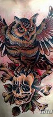 фото тату сова с черепом от 23.10.2017 №088 — tattoo owl with a skull — tatufoto.com
