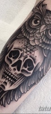 фото тату сова с черепом от 23.10.2017 №090 — tattoo owl with a skull — tatufoto.com
