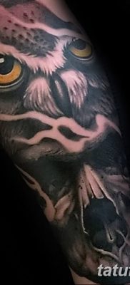 фото тату сова с черепом от 23.10.2017 №092 — tattoo owl with a skull — tatufoto.com