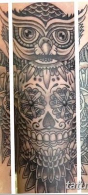фото тату сова с черепом от 23.10.2017 №093 — tattoo owl with a skull — tatufoto.com