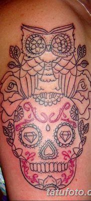 фото тату сова с черепом от 23.10.2017 №096 — tattoo owl with a skull — tatufoto.com