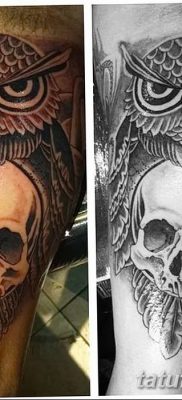 фото тату сова с черепом от 23.10.2017 №097 — tattoo owl with a skull — tatufoto.com