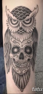 фото тату сова с черепом от 23.10.2017 №098 — tattoo owl with a skull — tatufoto.com