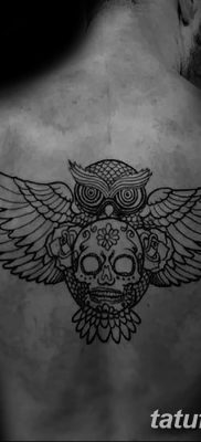 фото тату сова с черепом от 23.10.2017 №119 — tattoo owl with a skull — tatufoto.com