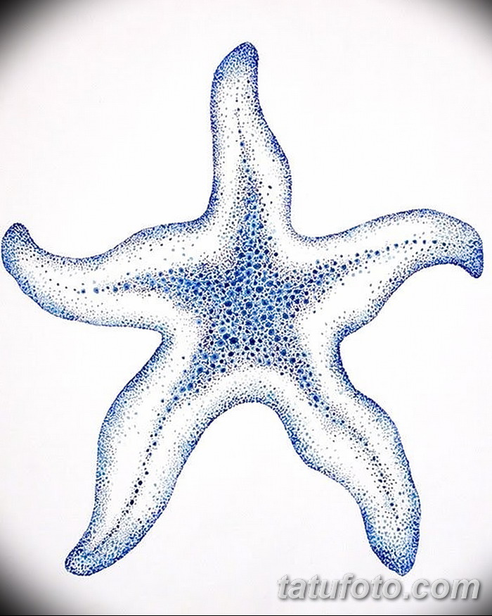 фото Эскизы тату морская звезда от 31.10.2017 № 035 - Sketches of a starfis...